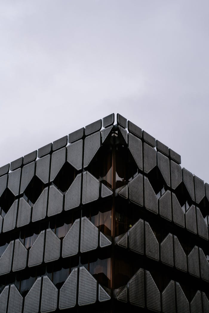 Pexels Photo 11213240