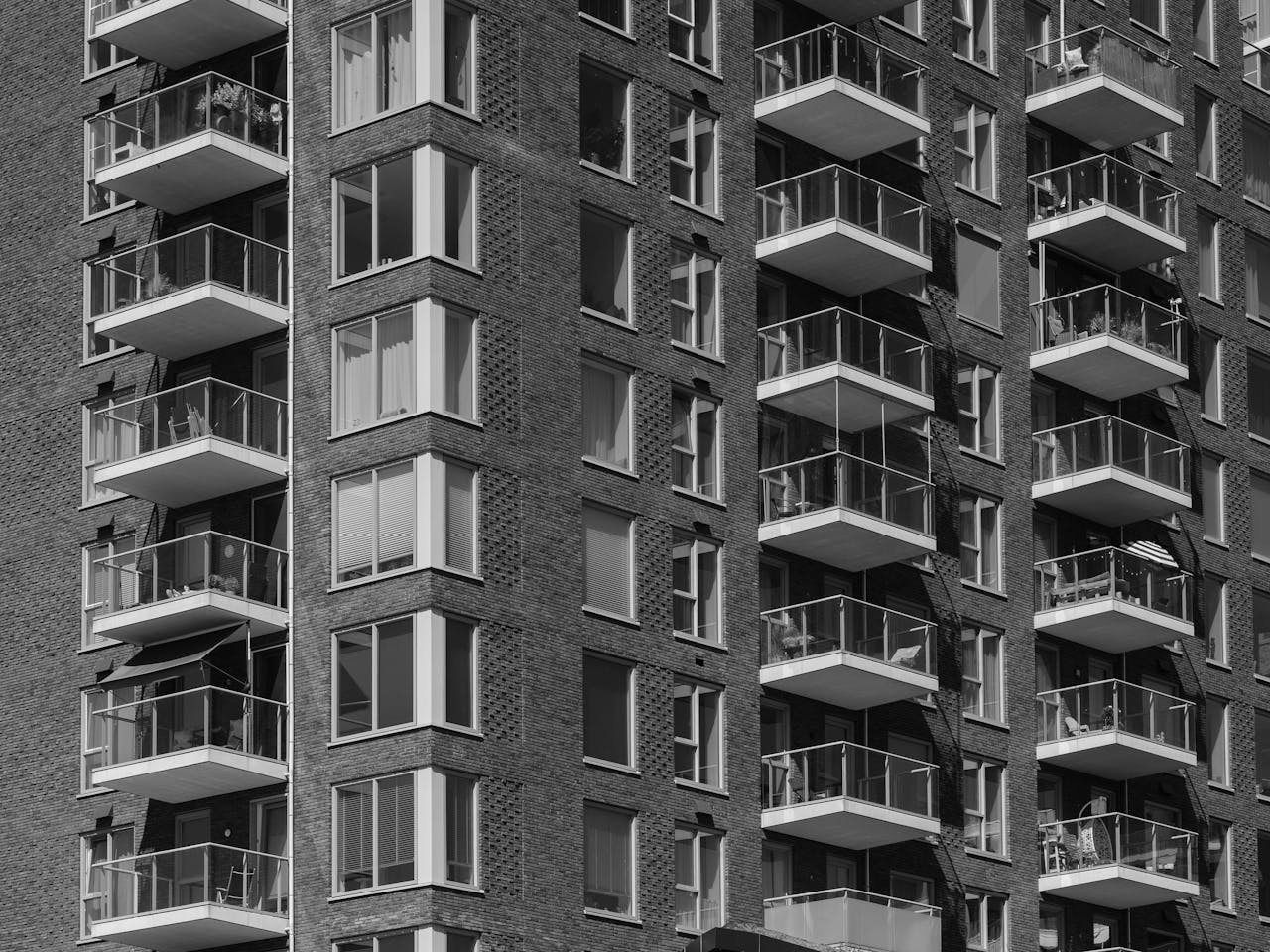 Pexels Photo 33431236